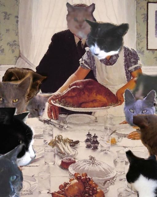 cats in Rockwell's painting of Thanksgiving dinner