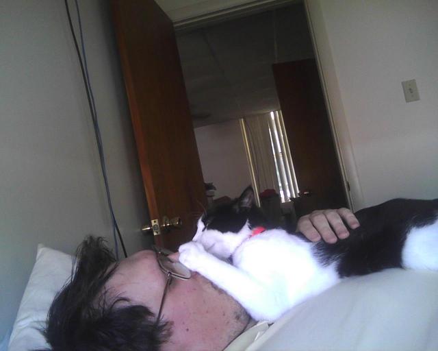 cat on my human's face