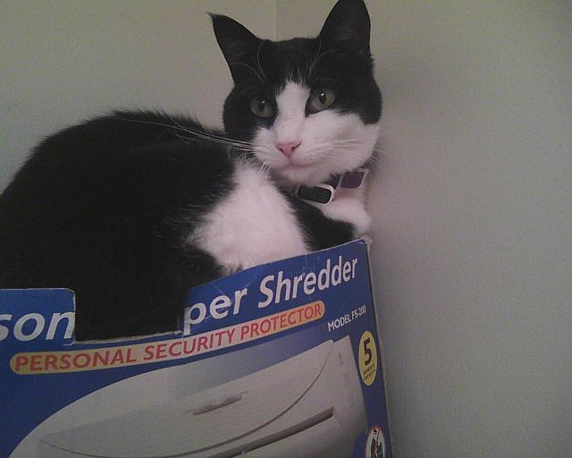 personal paper shredder