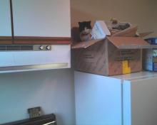 cat on box on fridge