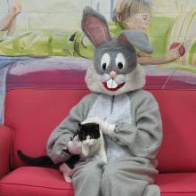 tuxedo cat with easter bunny 